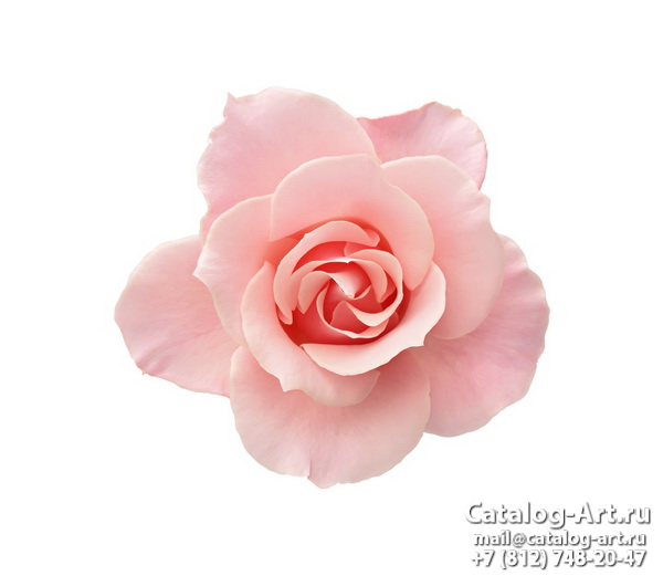 Натяжные потолки с фотопечатью - Розовые розы 32